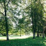Alter Kurpark in Bad Soden